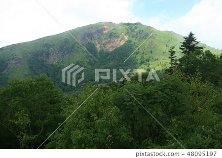 Mt. Aoyama (Mr. Azumaya) The way to the summit The stronghold of Negikake 48095197