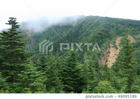 Mt. Aoyama (Mr. Azumaya) The way to the summit 48095199