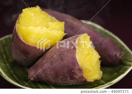  Sweet potato 48095571