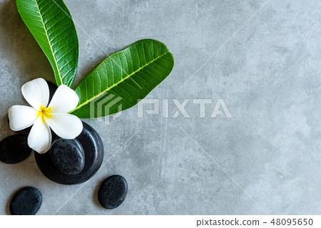 Thai Spa.  Top view of white Plumeria flower  48095650