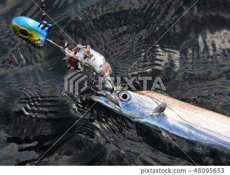 Fishing fishing caught by boat fishing 48095653