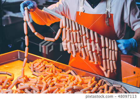 sausage meat production 48097113