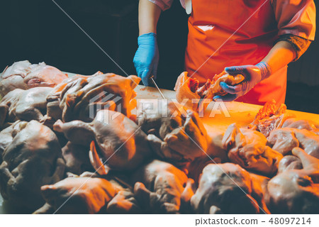 chicken meat production 48097214