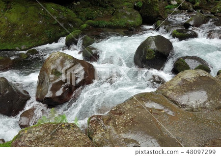 Kawazu Nanaki Cruise Tour Hatsunejigaki Stream Kawazu Nanaki Cruise Tour Hatsunejigaki Stream 48097299