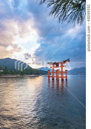 Evening scenery of Itsukushima Shinto Otorii 48099391