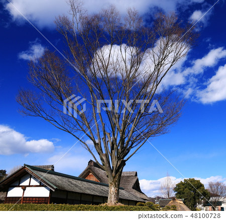Scenery of Tochigi Blue sky and clouds and winter ashikaga school Scenery of Tochigi Blue sky and clouds and winter ashikaga school 48100728