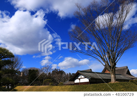 Scenery of Tochigi Blue sky and clouds and winter ashikaga school 48100729