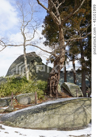 盛岡城堡踪影公園在冬天 48101999