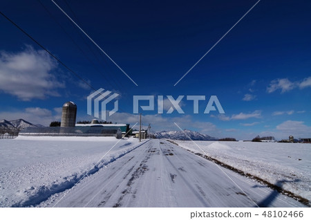 在冬季牧場(北海道十勝區)中間積雪 在冬季牧場(北海道十勝區)中間積雪 48102466