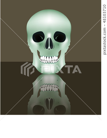 Human realistic skull in full face. Vector illustration 48103710