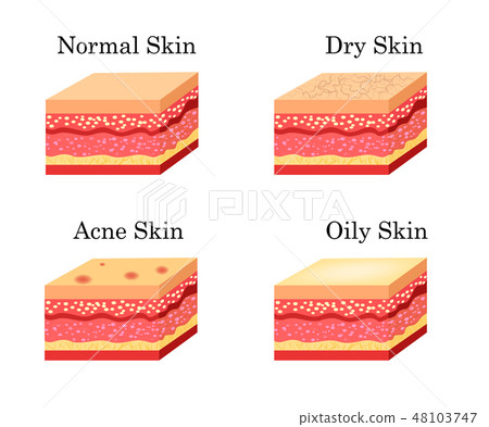 Skin types icons set. Vector stock illustration 48103747