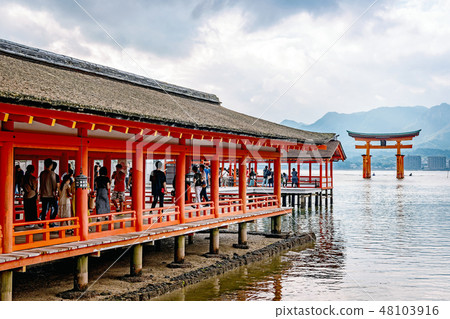 Closet landscape of Itsukushima shrine 48103916