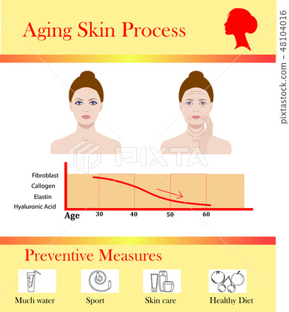 Aging skin process and preventive tipps, vector illustration Aging skin process and preventive tipps, vector illustration 48104016