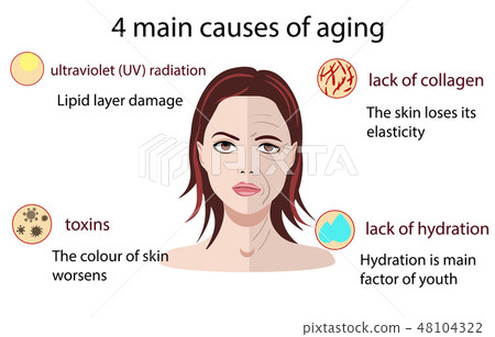 Causes of aging, vector illustration isolated on the white background 48104322