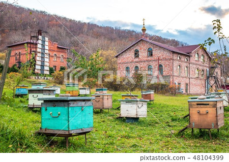 Apiary with beehives of the St. Seraphim Monastery Apiary with beehives of the St. Seraphim Monastery 48104399