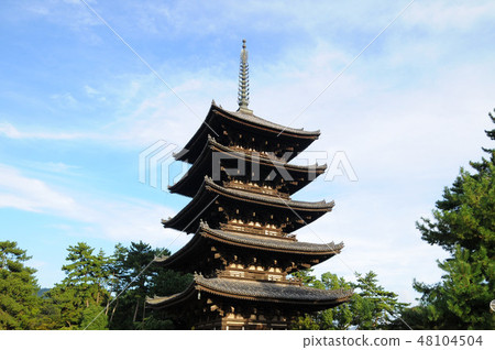 興福寺 興福寺 48104504