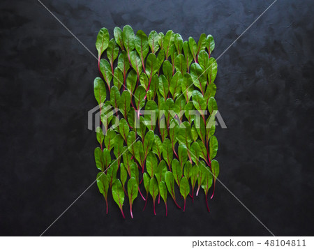 Chard lettuce leaves flat lay on the black table Chard lettuce leaves flat lay on the black table 48104811