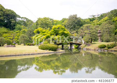 Tokyo Rikugien Bunkyo-ku Rikugien (early summer) Tokyo Rikugien Bunkyo-ku Rikugien (early summer) 48106877