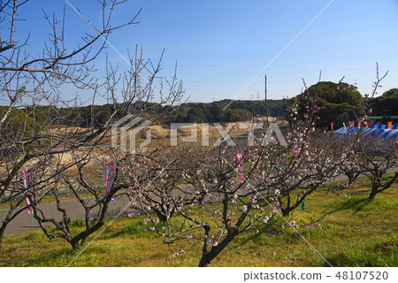 Sagli ripake 48107520