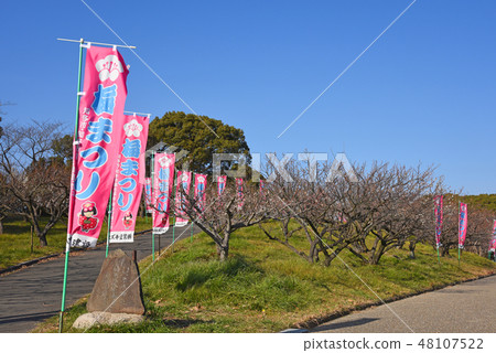 Sagli ripake 48107522