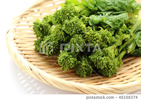 強姦開花 強姦開花 48108374