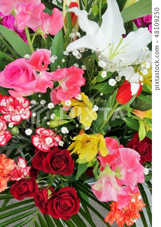 春季花卉比賽 春季花卉比賽 48109250