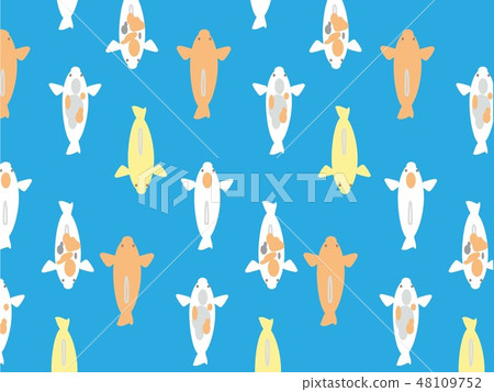 鯉魚 鯉魚 48109752