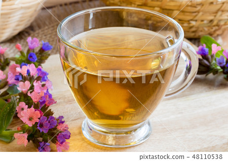 A cup of lungwort (pulmonaria) tea with lungwort A cup of lungwort (pulmonaria) tea with lungwort 48110538
