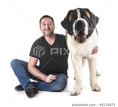saint bernard and man saint bernard and man 48110873