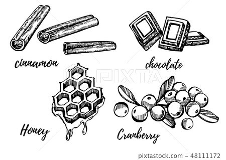 Honey, Cranberry, Chocolate and Cinnamon sketch illustrations. Hand drawn illustrations isolated on Honey, Cranberry, Chocolate and Cinnamon sketch illustrations. Hand drawn illustrations isolated on 48111172