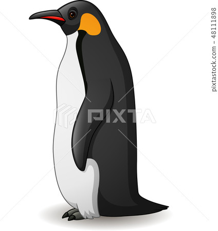 Illustration of emperor penguin isolated on white  48111898