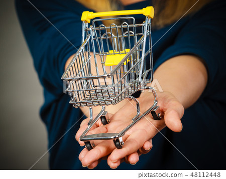 Woman hand holding small tiny shopping cart 48112448