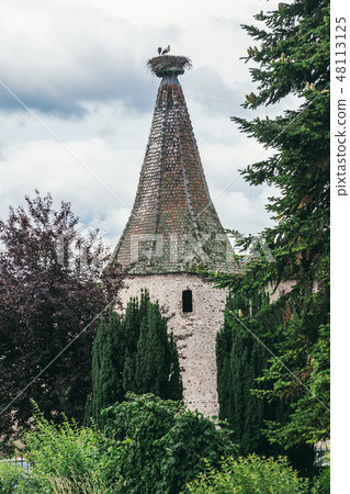 on the roof of the stork's nest 48113125