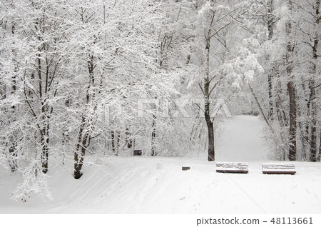 Winter landscape with a park Winter landscape with a park 48113661