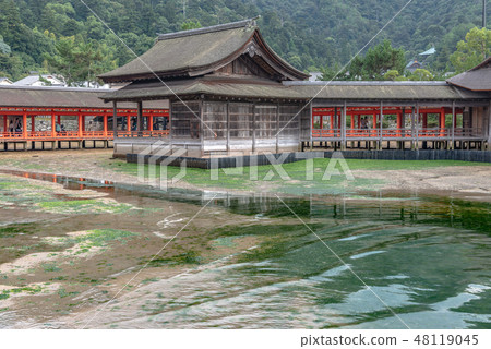 嚴島神社西走廊和能樂階段 嚴島神社西走廊和能樂階段 48119045
