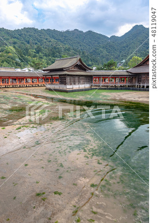 嚴島神社西走廊和能樂階段 嚴島神社西走廊和能樂階段 48119047
