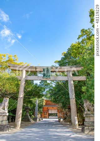 Torii of Omiyasumi Shrine Torii of Omiyasumi Shrine 48119229