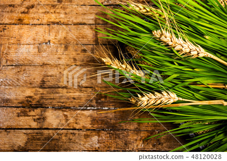Wheat branch on a wooden table Wheat branch on a wooden table 48120028