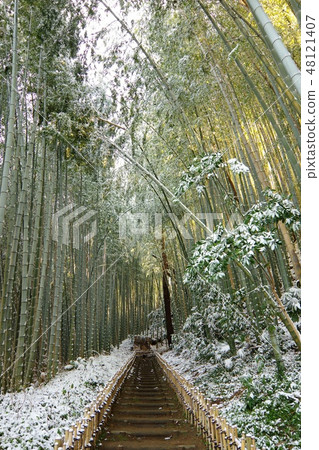 Sakura Sushige House Hayokorizaka Snow scene 48121407