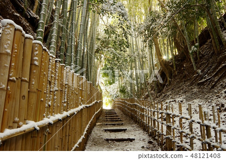 Sakura Sushige House Hayokorizaka Snow scene 48121408