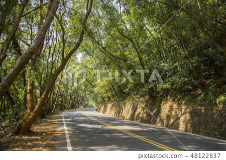 Green tunnel 48122837