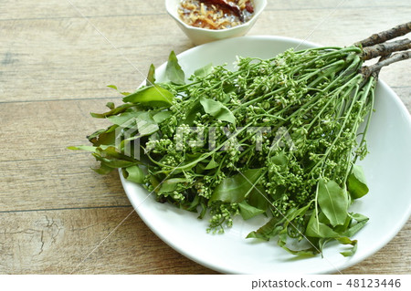 Siamese neem tree dipping with sweet fish sauce Siamese neem tree dipping with sweet fish sauce 48123446