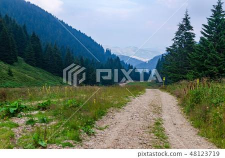 Mountain path in summer 48123719
