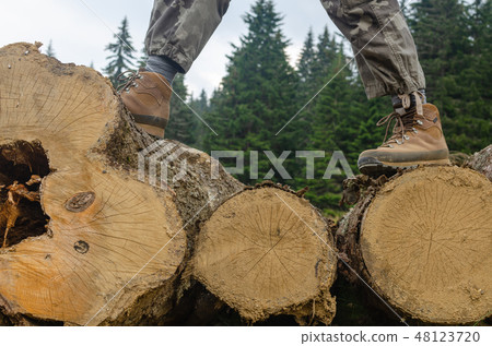Hiker's boots on logs Hiker's boots on logs 48123720