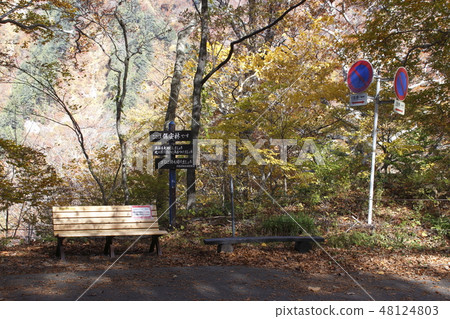 At Tanigawadake of autumn leaves (Iino Kurasawa → Makigawazumi meeting) 48124803