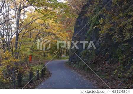 At Tanigawa dake of autumn leaves (Ichinokurazawa) At Tanigawa dake of autumn leaves (Ichinokurazawa) 48124804