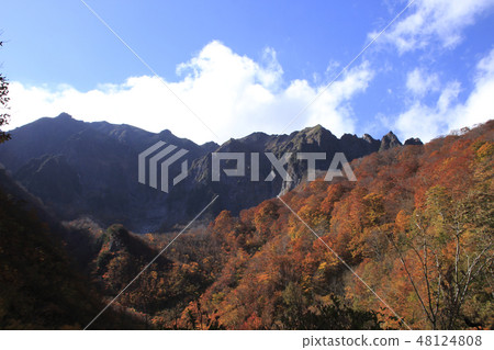At Mt. Tanigawa of autumn leaves (Norisawa) 48124808