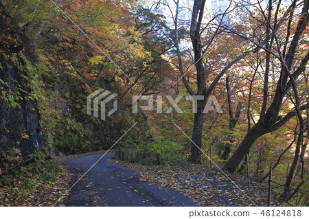 At Mt. Tanigawake of autumn leaves (Matigazawa Examination → Ino Kurasawa) 48124818