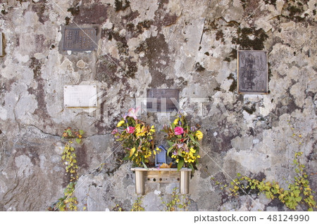 At Tanigawa-dake (memorial monument near Nogura Kano) 48124990