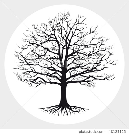 Black silhouette of a bare tree . Vector illustration. 48125123